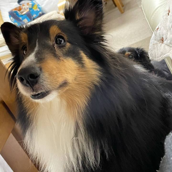 9e119b9a ced6 4ba8 bd62 7b8327ac231f 1612748041485