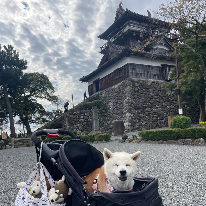 9e11efac c302 4166 bf25 d0b0e1e9b460 1762073504694