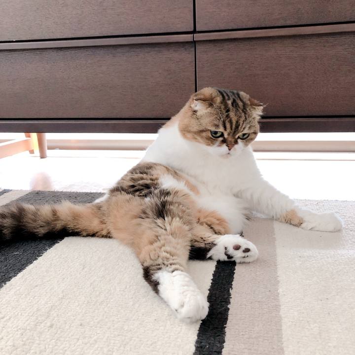 9e120338 271a 4307 87de c09f1d04f51d 1566610455225