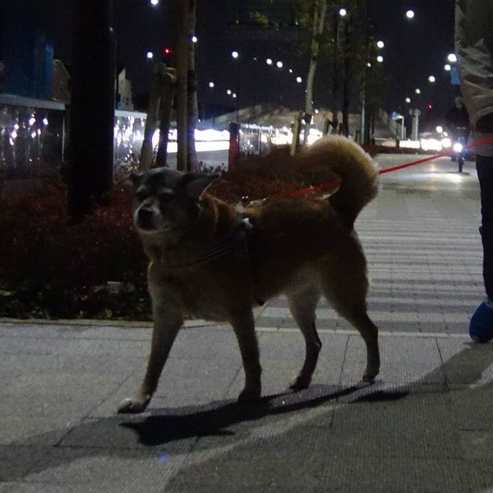 9e12074a 2128 42df 8206 151b3d7b69b9 1550920324664