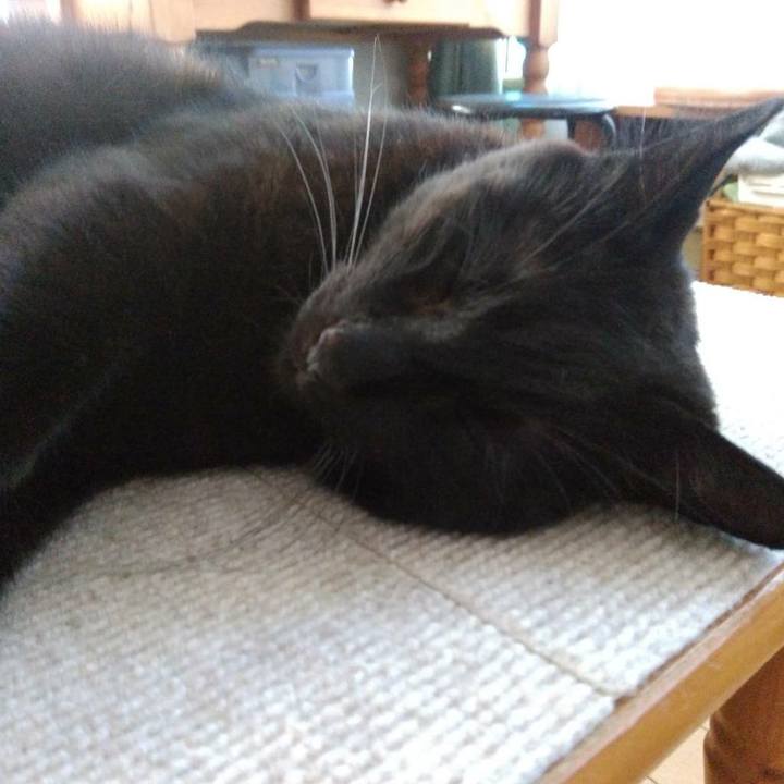 9e125a82 4182 437e a7d0 6434e05a1d89 1598242074062