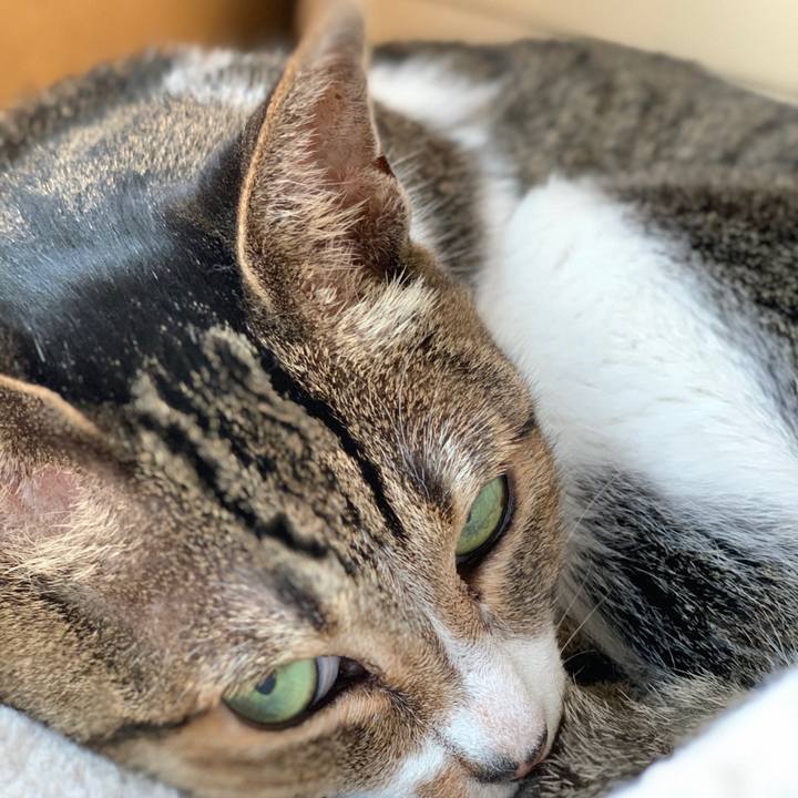 9e128747 5a89 43d5 a019 95361d09e473 1597624465919