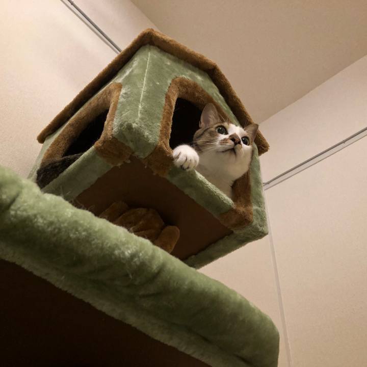 9e128edc fe20 4bf2 8324 1d20a1926b61 1537596947271