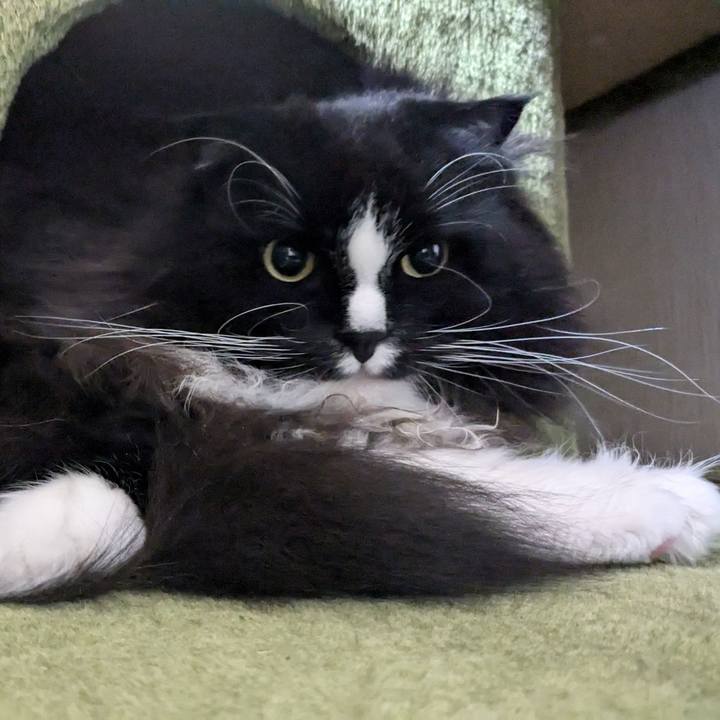 9e12a94a bac8 4a2c 96df 40fc49a5323d 1732002349336