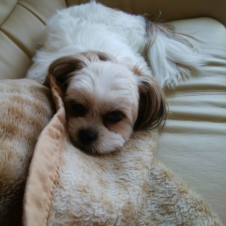 9e12c0e2 bb74 45ef a2ca 09471edf45c5 1526355549218