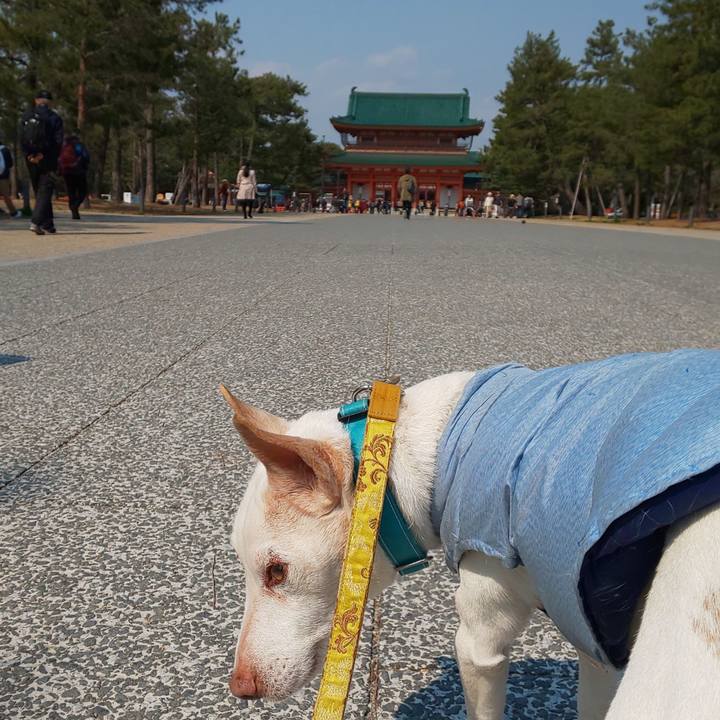 9e12da24 98f8 4dee b9b2 73dd9e293f90 1552625224295