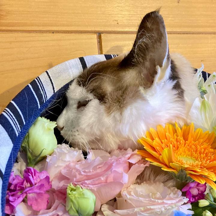 9e12e883 3605 4d5e 881a 0d1bd3419d8d 1679454832538