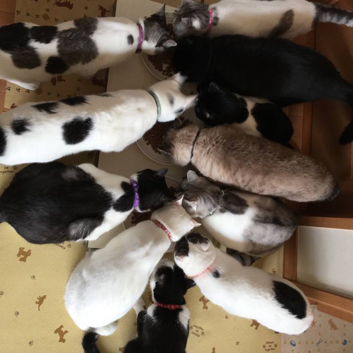 9e12ef7b 220d 401f b0da 93cf68d573a1 1596327636627