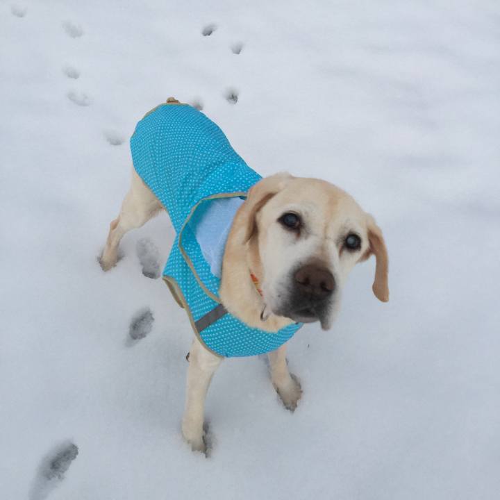 9e12f61c 66d2 4e72 a9d3 667099f72bd1 1544479440840