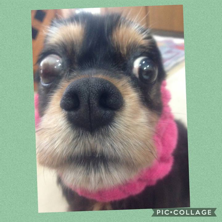 9e12f98f 3440 4606 9100 d6303c17dafc 1547208205343