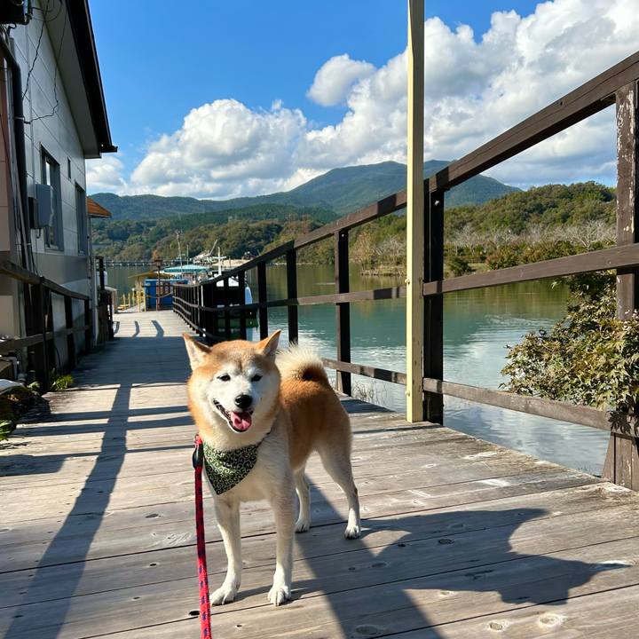 9e1306ef f5bb 4fb9 a822 4092c901f06a 1731055233621