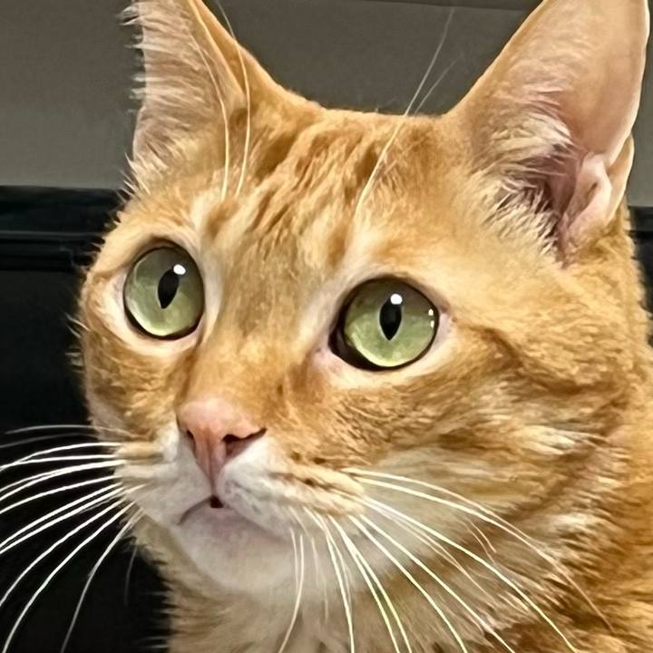 9e13071a fba1 45bc 8889 9370e12f03db 1648850344033