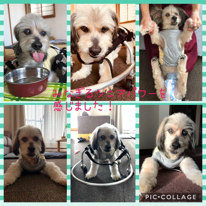 9e131120 504d 401e ac1b 23a70e036360 1539165550154