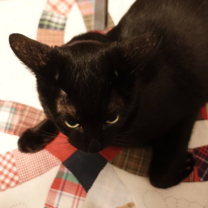 9e132697 5e7c 470b 839b cebd7e60c4e4 1535189587362