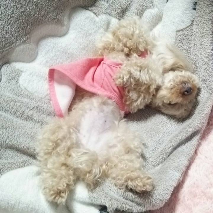 9e13a4ad 683b 4a3c 970b fb67b061977f 1521120940605