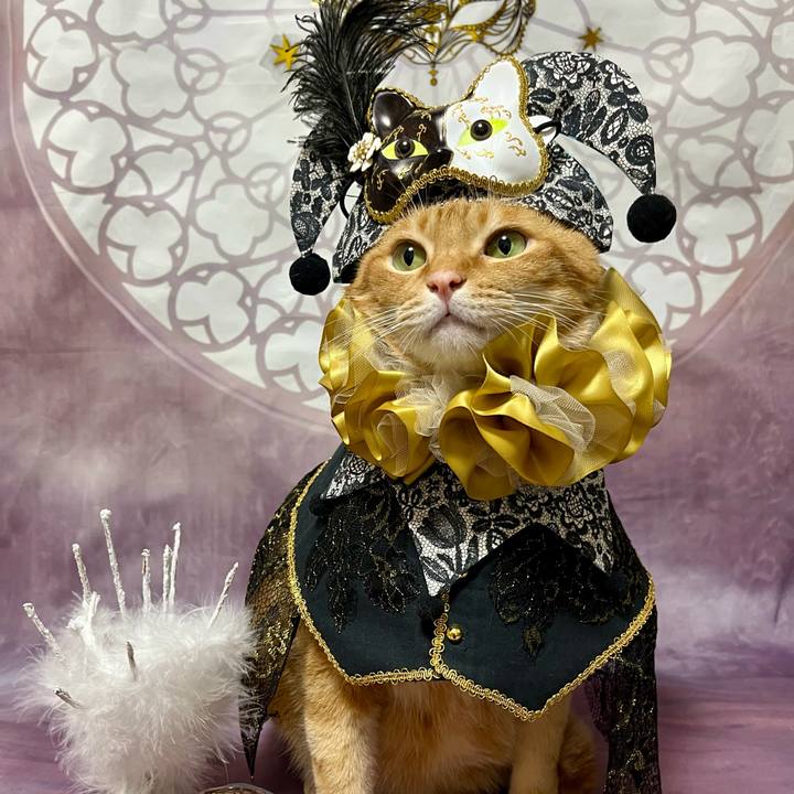 9e13b198 c354 437b a441 06c9caf424f4 1698272464521