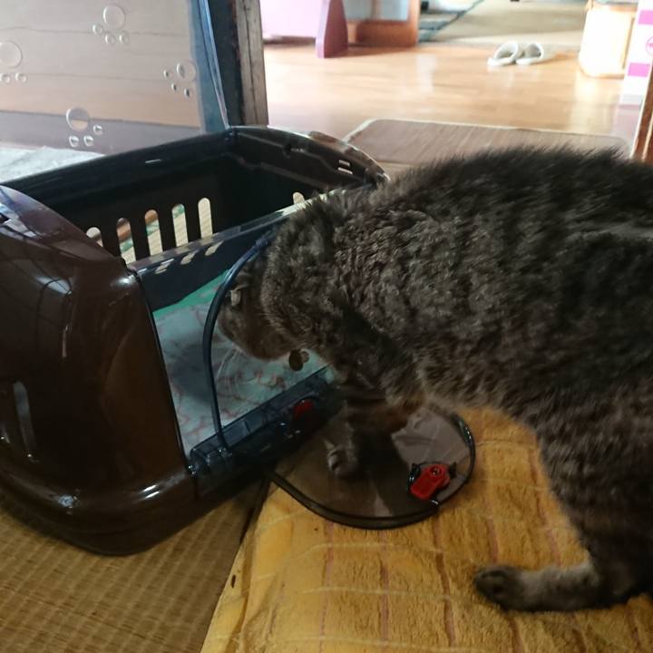 9e13b230 c29e 4efd b600 51c4f7f34d36 1594425897088