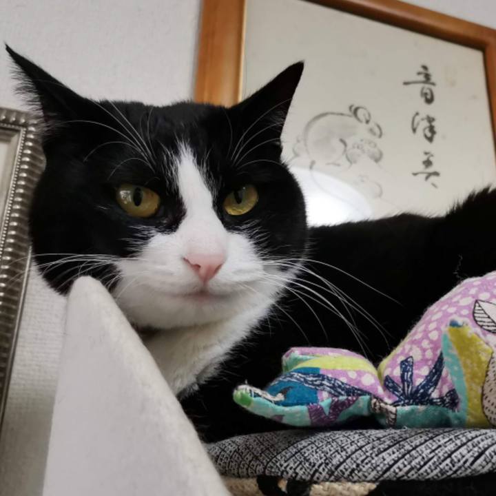 9e13e4ca 2351 4154 bea5 2ee9527bac81 1608650274882