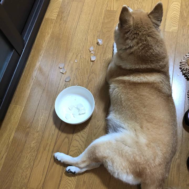 9e13eb3d 0590 4007 a24c ad7ebdb6f6ef 1595303687410