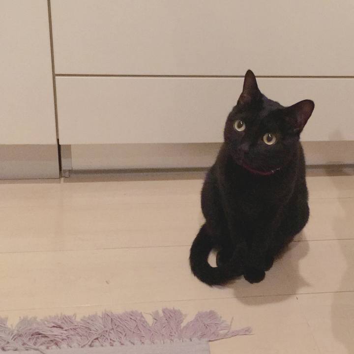 9e13eba7 2847 4303 adae 2c48a92a35bc 1539778377877