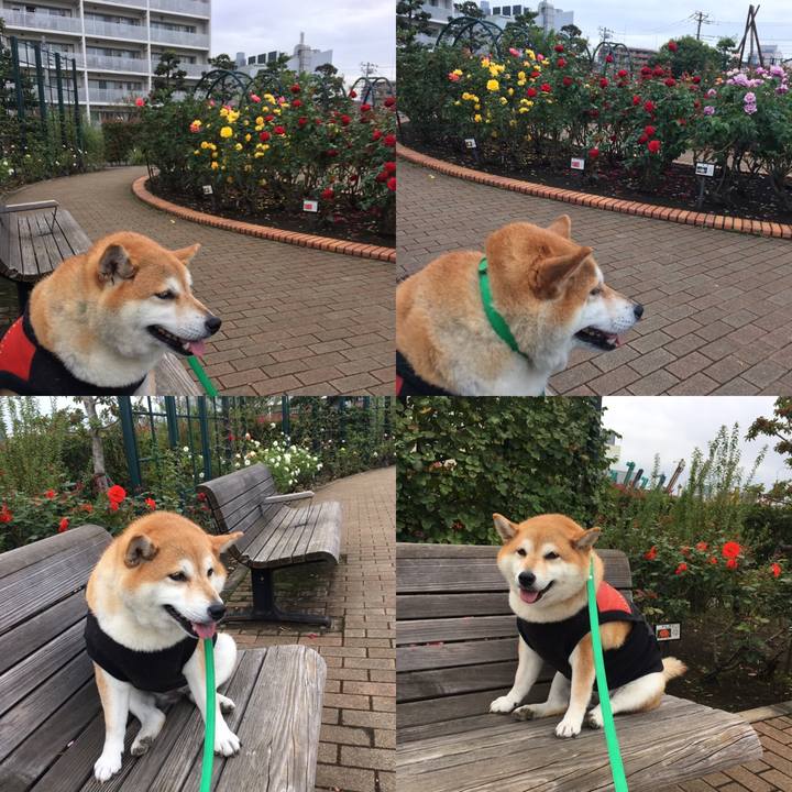 9e148b26 e107 450f 85d3 4ae0f33e3992 1603078417457