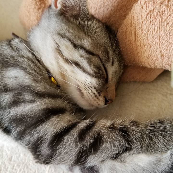 9e14c53a 9e4b 4b1b aea5 93ae9877459b 1666379086271