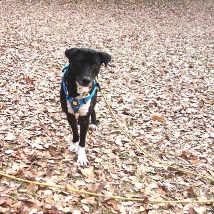 9e14df70 cf55 4924 91fc 1fbfbe009698 1609028619629