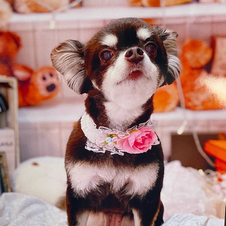 9e1503d2 57a0 4f34 b5fe 0a4cbc84a37b 1623124501747