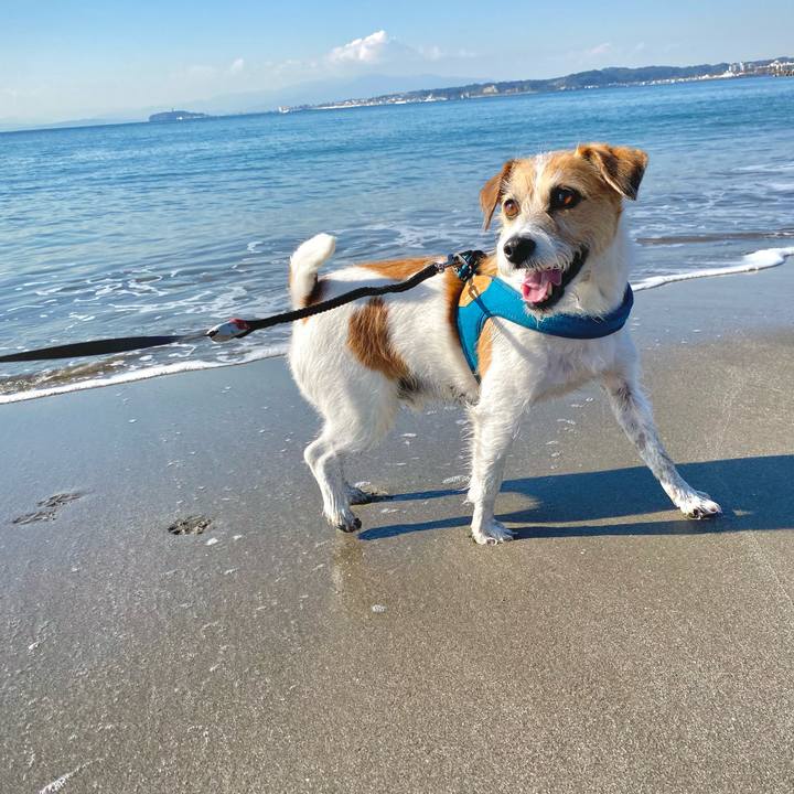 9e150ccd 0def 4f88 ad58 29b31a290e1b 1669390846579