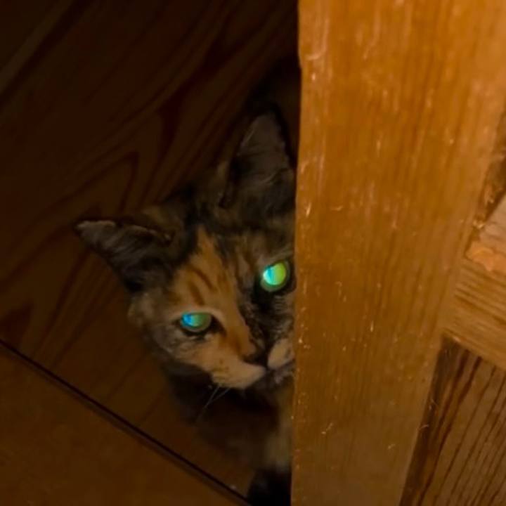 9e150d64 f83d 42bb 90e5 90c3d43cc953 1744663215610