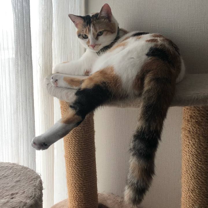 9e150e53 885c 4232 9c55 0c6dddc4cc36 1593330074556