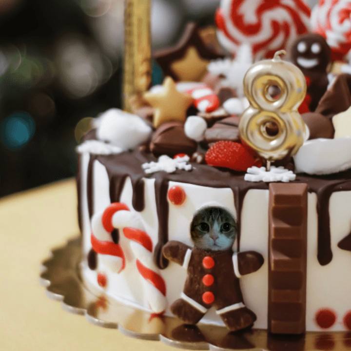 9e155f3e 00ed 45a1 b6b3 053af000beeb 1640220513893