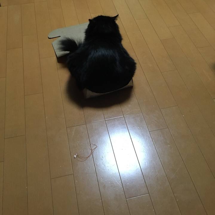 9e159b8a 95ee 4e1f 86e0 6d98827aef96 1516703196619