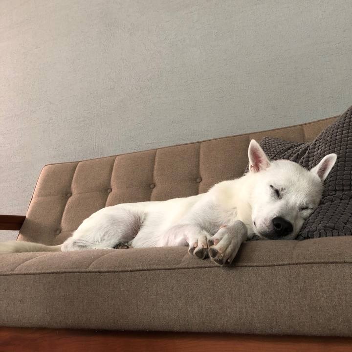 9e159da7 934a 4611 94c8 57ad04be9fe9 1533124454761