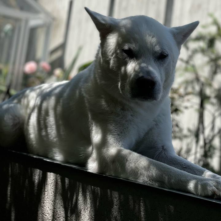 9e15a070 aa78 4541 8ef8 f48d5ac422cc 1684922943584