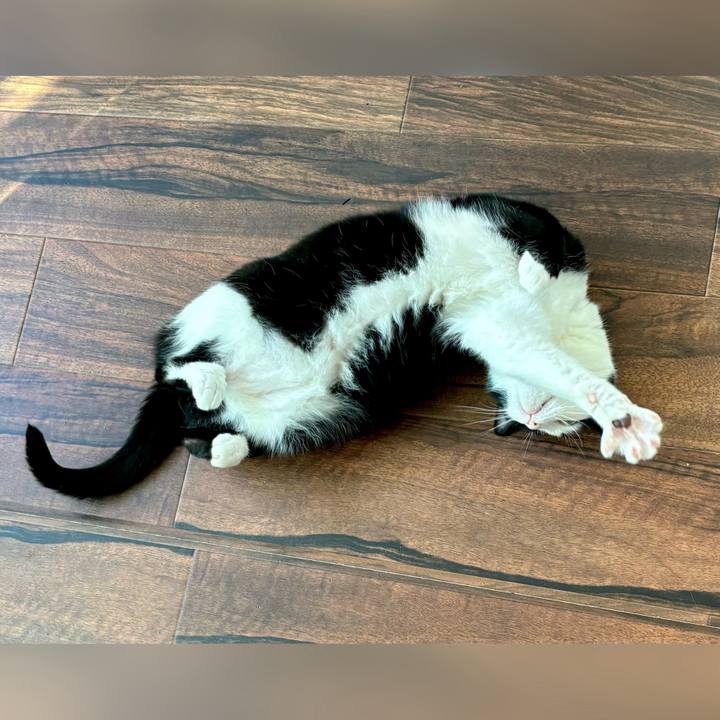 9e15e9bc 5ee8 4d37 ac93 acbb6d705212 1718836078079