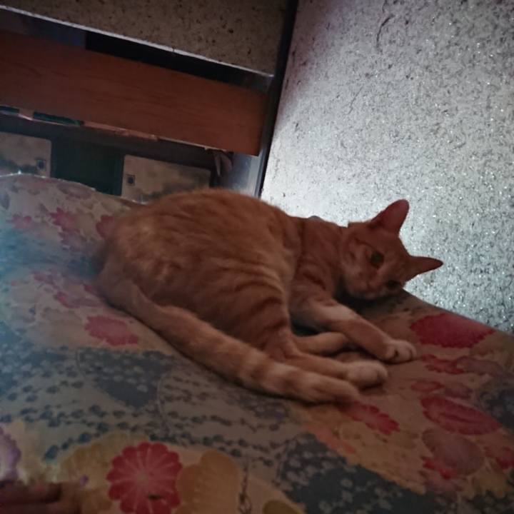 9e1625df f1d8 4c3c a92a 17c2d08006a9 1596236233583