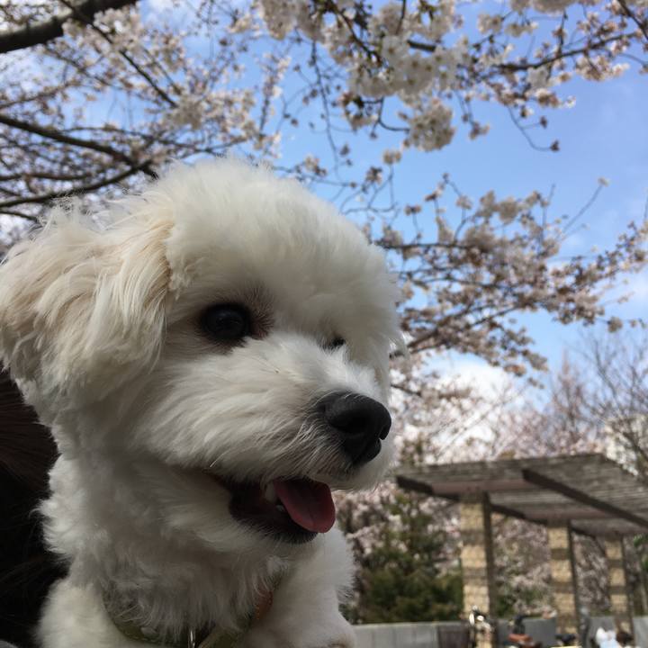 9e16286c cabd 4262 a8e4 6ff2dd09def0 1522031823159