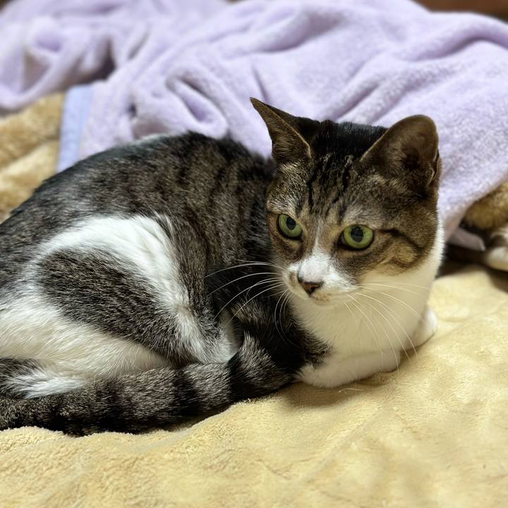 9e162945 e300 42bb bf1f 371edd8c61c6 1682474920349