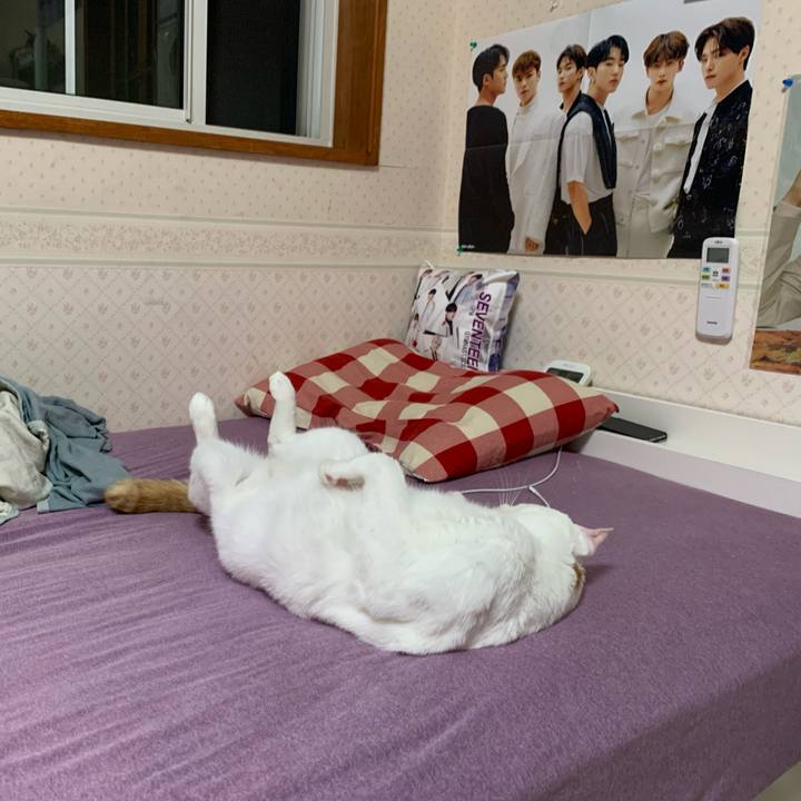 9e163ccf aeeb 4c32 9bb6 6a814e18d214 1626093159516