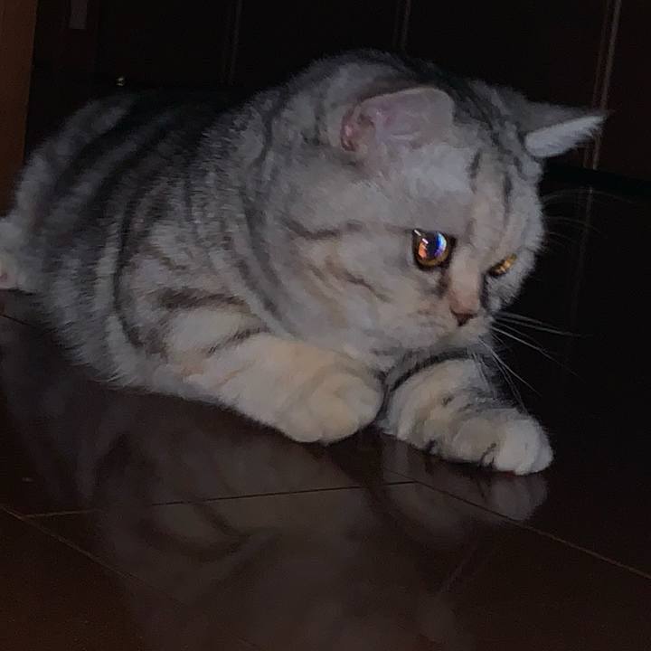 9e1657af 0e43 4676 b7aa 78f5b8717c72 1705210310160