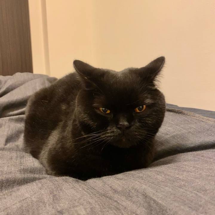 9e1665a6 69ef 46ee 85d7 8c802b47de33 1671971609068