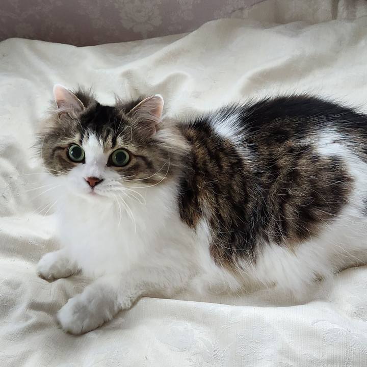 9e167da1 7233 44cc af07 73bec6a2a0e4 1741990601425