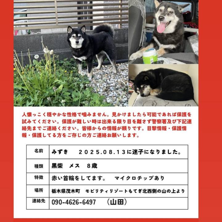 9e169c27 c202 4236 9a85 14134c637e82 1758148555816