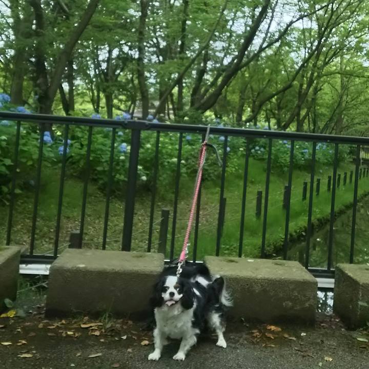 9e16f58b d484 4b46 9866 7baafbfff761 1528975833868