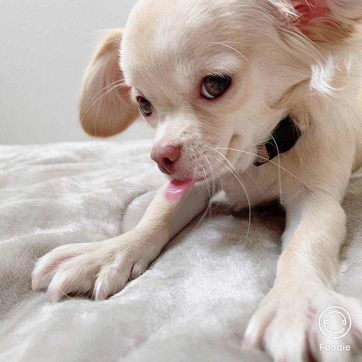 9e171d7e c922 4984 9c67 324c9a0a4a25 1603950473181