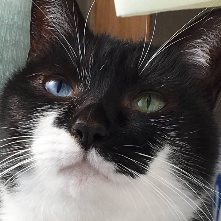 9e1774e1 3baa 4f11 817e 75e6a2df67ee 1552744594193