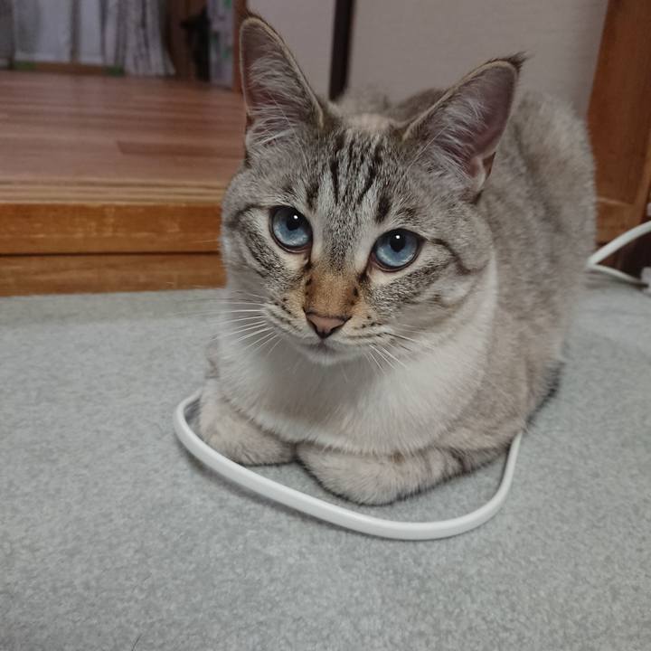 9e17b12c 4854 424c 8994 19b8e9e4f892 1528975789294