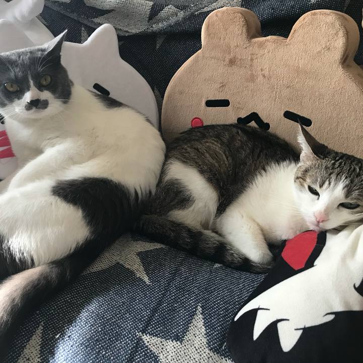 9e17bcac d3a6 4917 a1e9 e24a387afd82 1645014379228