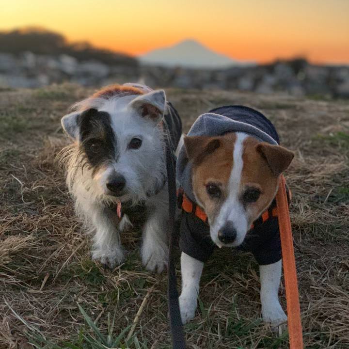 9e1815ec 32f5 4760 a692 367e2b073907 1608626705205